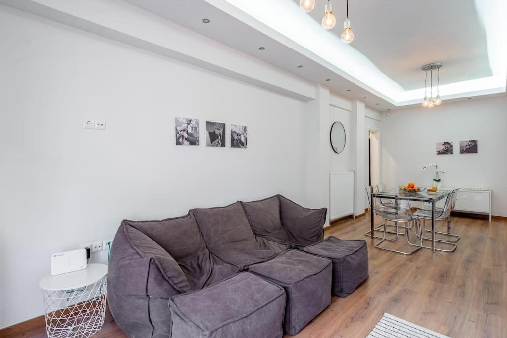 Modernised Athenian Apartment /W 2Br & 2Ba المظهر الخارجي الصورة